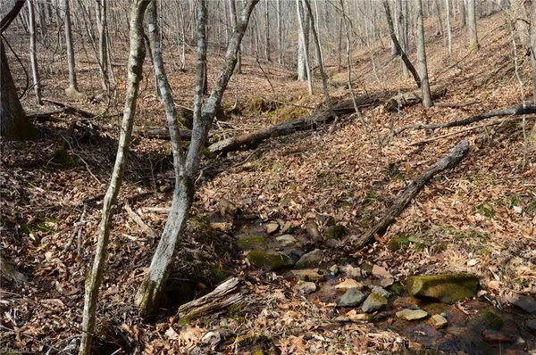 $570,000 | 1284-1516 Tom Mix Road, Unit 95 93 / AC TRACT, Westfield, NC 27053