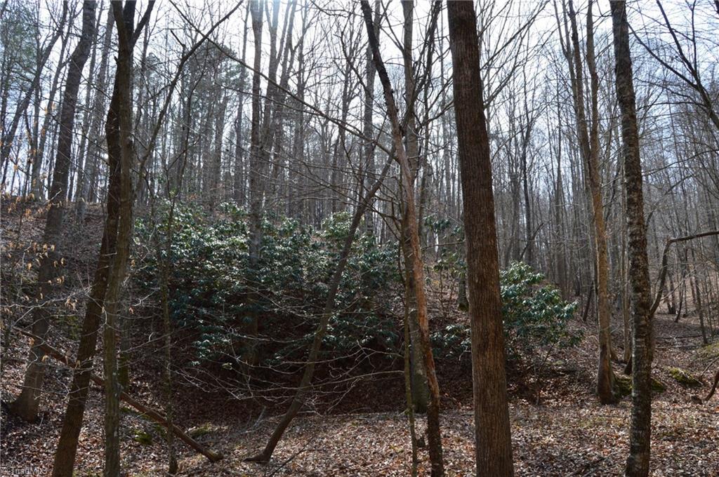 1284-1516 Tom Mix Road, Unit 95 93 / AC TRACT Westfield, NC 27053 - Photo 24 of 50