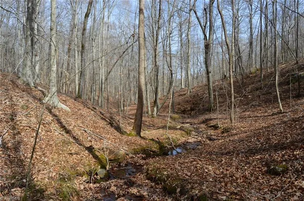 $570,000 | 1284-1516 Tom Mix Road, Unit 95 93 / AC TRACT, Westfield, NC 27053