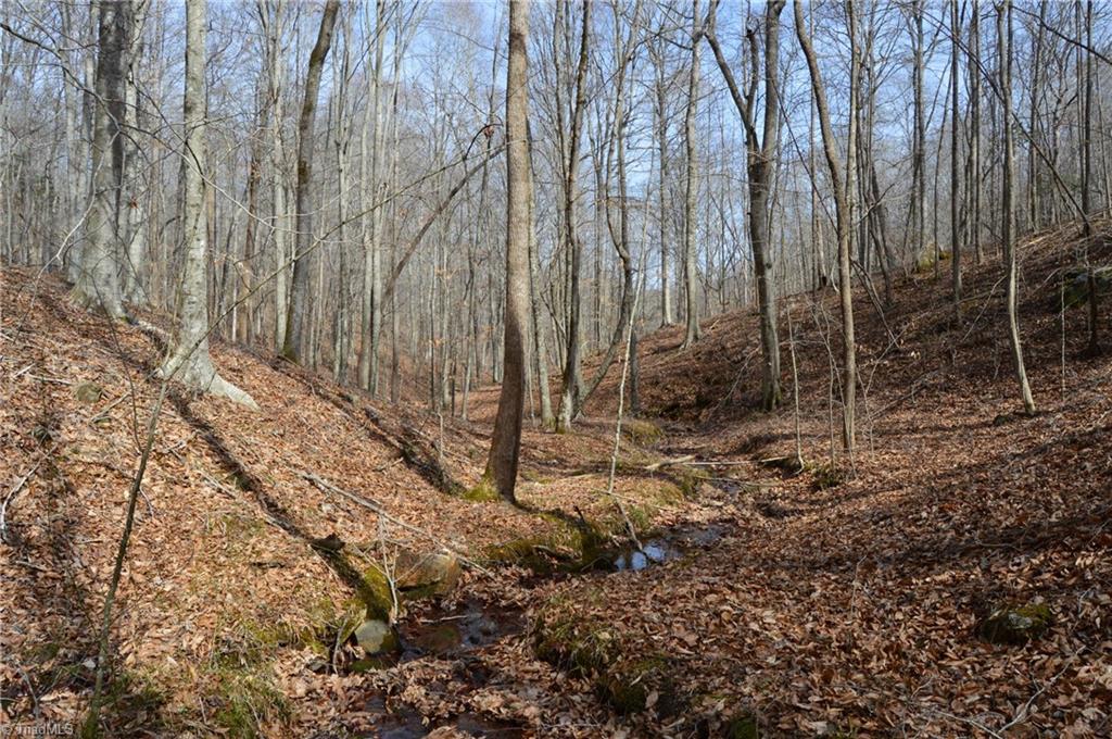1284-1516 Tom Mix Road, Unit 95 93 / AC TRACT Westfield, NC 27053 - Photo 25 of 50