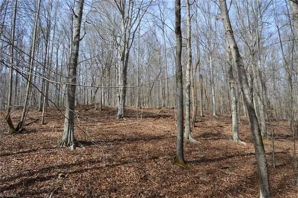 $570,000 | 1284-1516 Tom Mix Road, Unit 95 93 / AC TRACT, Westfield, NC 27053