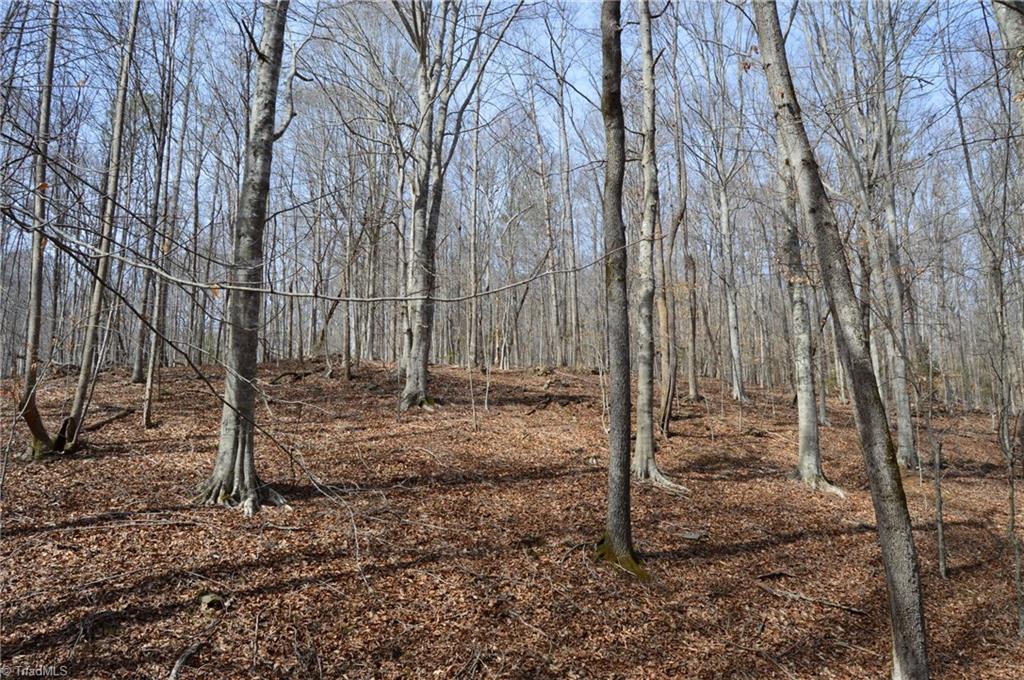 1284-1516 Tom Mix Road, Unit 95 93 / AC TRACT Westfield, NC 27053 - Photo 26 of 50