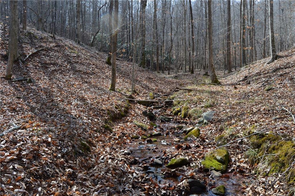 1284-1516 Tom Mix Road, Unit 95 93 / AC TRACT Westfield, NC 27053 - Photo 27 of 50