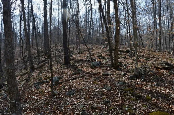 $570,000 | 1284-1516 Tom Mix Road, Unit 95 93 / AC TRACT, Westfield, NC 27053