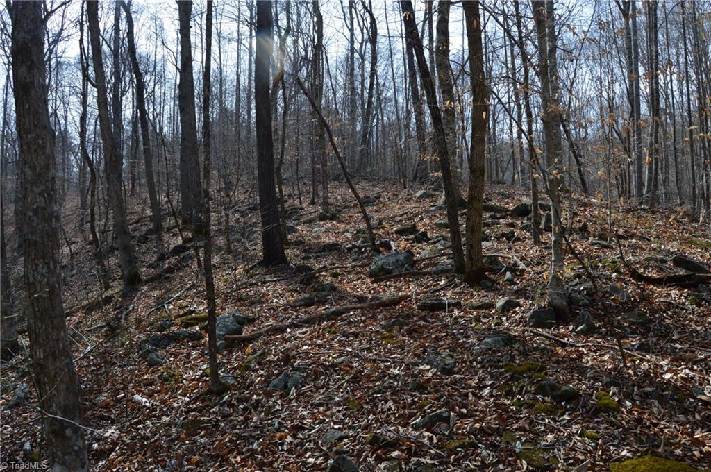 1284-1516 Tom Mix Road, Unit 95 93 / AC TRACT Westfield, NC 27053 - Photo 30 of 50