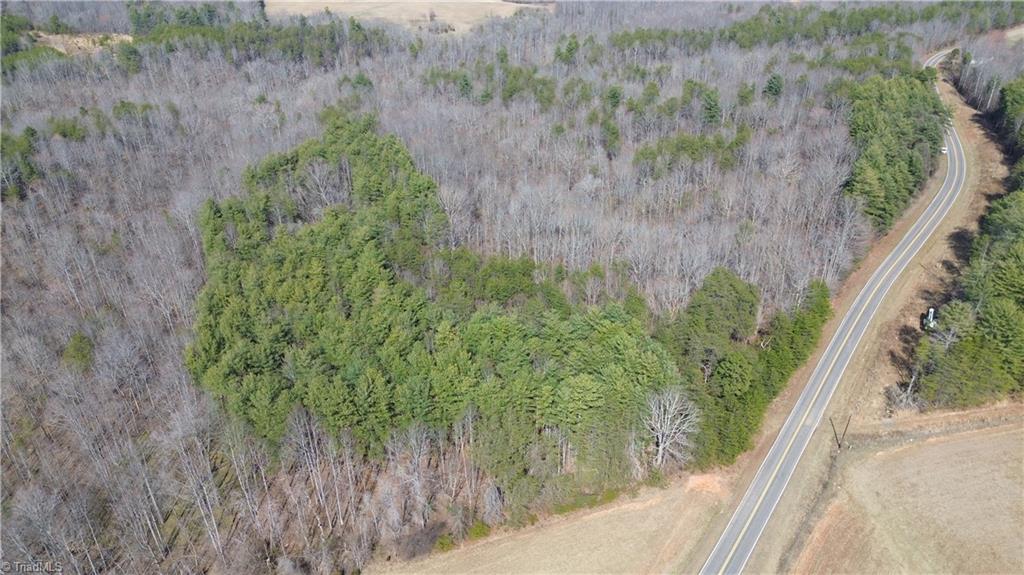1284-1516 Tom Mix Road, Unit 95 93 / AC TRACT Westfield, NC 27053 - Photo 3 of 50