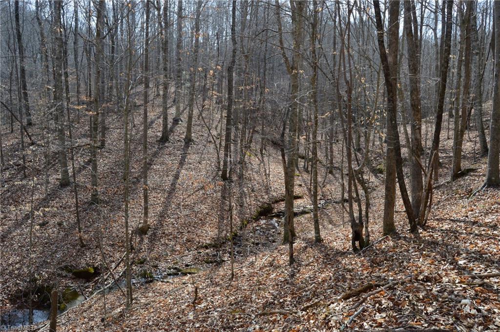 1284-1516 Tom Mix Road, Unit 95 93 / AC TRACT Westfield, NC 27053 - Photo 31 of 50
