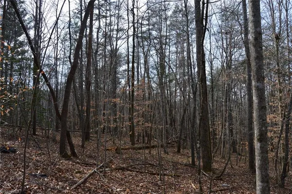 $570,000 | 1284-1516 Tom Mix Road, Unit 95 93 / AC TRACT, Westfield, NC 27053