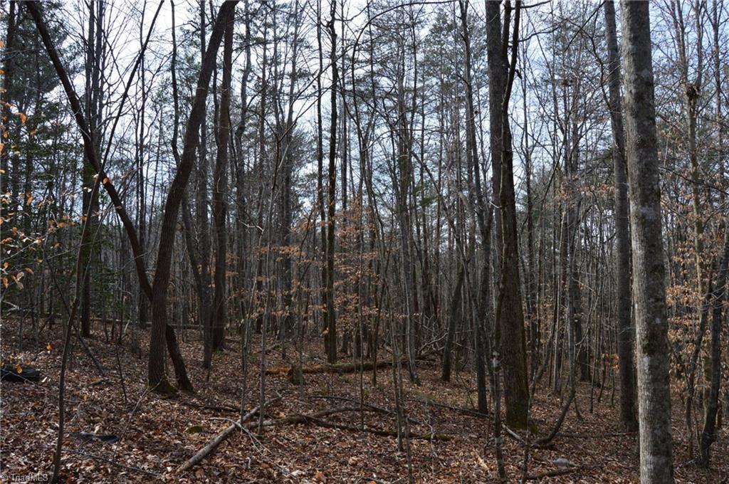 1284-1516 Tom Mix Road, Unit 95 93 / AC TRACT Westfield, NC 27053 - Photo 32 of 50