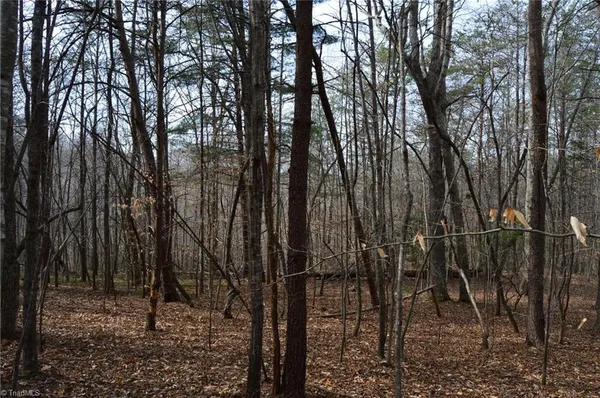 $570,000 | 1284-1516 Tom Mix Road, Unit 95 93 / AC TRACT, Westfield, NC 27053