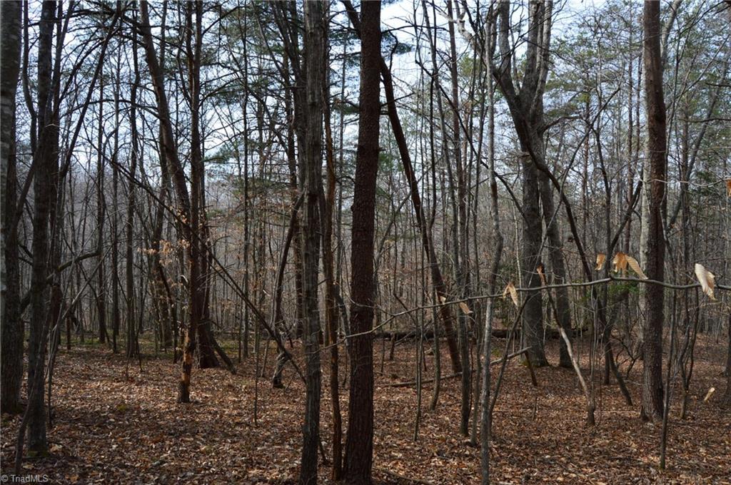 1284-1516 Tom Mix Road, Unit 95 93 / AC TRACT Westfield, NC 27053 - Photo 33 of 50