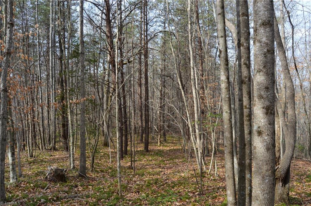 1284-1516 Tom Mix Road, Unit 95 93 / AC TRACT Westfield, NC 27053 - Photo 34 of 50