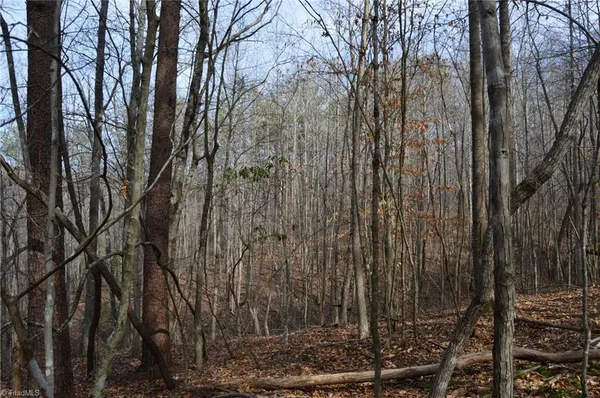 $570,000 | 1284-1516 Tom Mix Road, Unit 95 93 / AC TRACT, Westfield, NC 27053