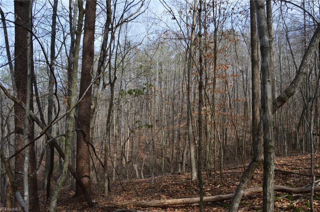 1284-1516 Tom Mix Road, Unit 95 93 / AC TRACT Westfield, NC 27053 - Photo 35 of 50