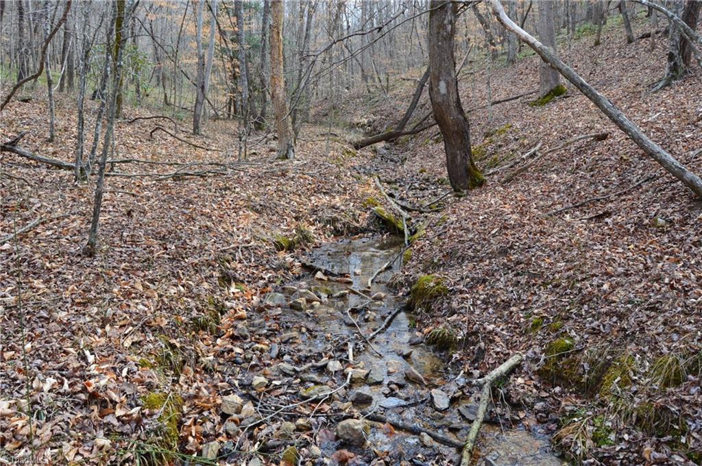 1284-1516 Tom Mix Road, Unit 95 93 / AC TRACT Westfield, NC 27053 - Photo 36 of 50
