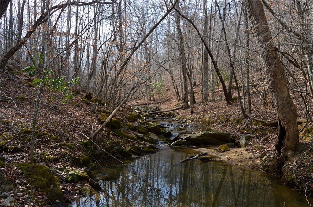 1284-1516 Tom Mix Road, Unit 95 93 / AC TRACT Westfield, NC 27053 - Photo 37 of 50
