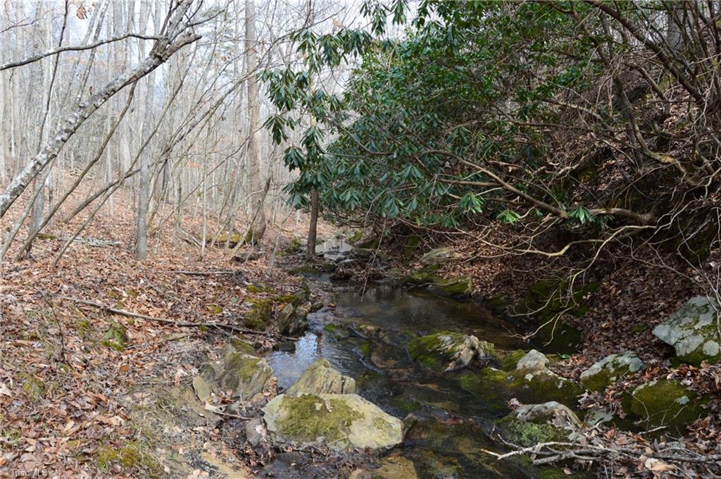 1284-1516 Tom Mix Road, Unit 95 93 / AC TRACT Westfield, NC 27053 - Photo 39 of 50