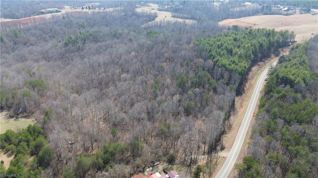 1284-1516 Tom Mix Road, Unit 95 93 / AC TRACT Westfield, NC 27053 - Photo 4 of 50