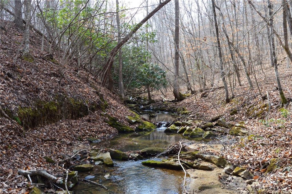 1284-1516 Tom Mix Road, Unit 95 93 / AC TRACT Westfield, NC 27053 - Photo 41 of 50