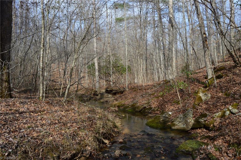 1284-1516 Tom Mix Road, Unit 95 93 / AC TRACT Westfield, NC 27053 - Photo 43 of 50