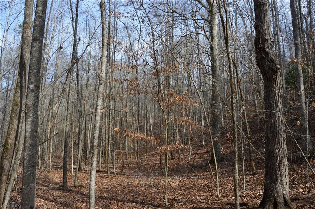 1284-1516 Tom Mix Road, Unit 95 93 / AC TRACT Westfield, NC 27053 - Photo 44 of 50