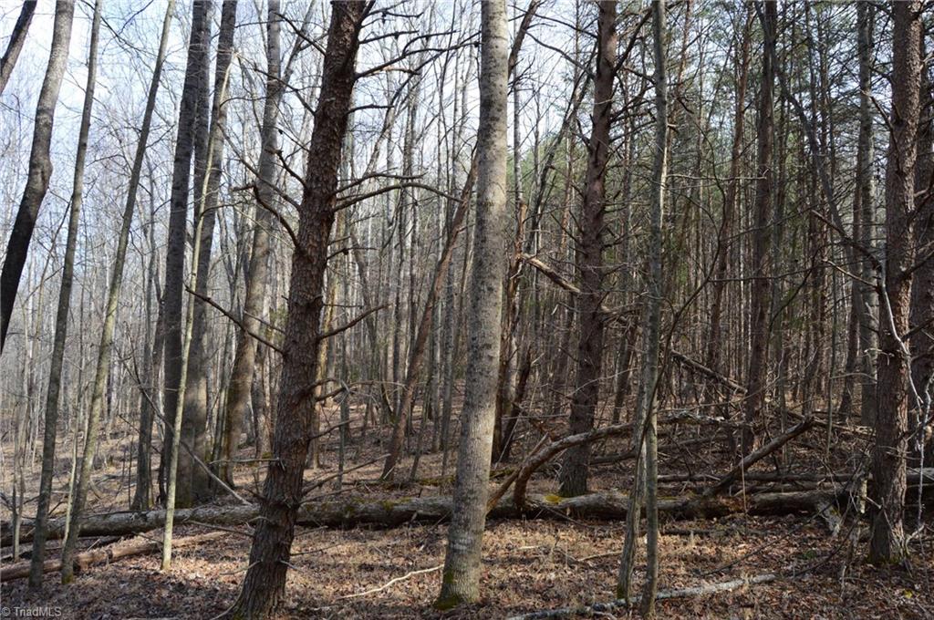 1284-1516 Tom Mix Road, Unit 95 93 / AC TRACT Westfield, NC 27053 - Photo 45 of 50