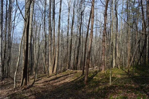 $570,000 | 1284-1516 Tom Mix Road, Unit 95 93 / AC TRACT, Westfield, NC 27053