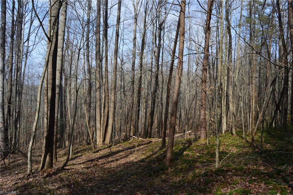 1284-1516 Tom Mix Road, Unit 95 93 / AC TRACT Westfield, NC 27053 - Photo 46 of 50