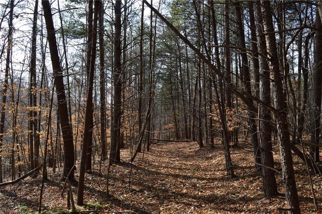 1284-1516 Tom Mix Road, Unit 95 93 / AC TRACT Westfield, NC 27053 - Photo 47 of 50