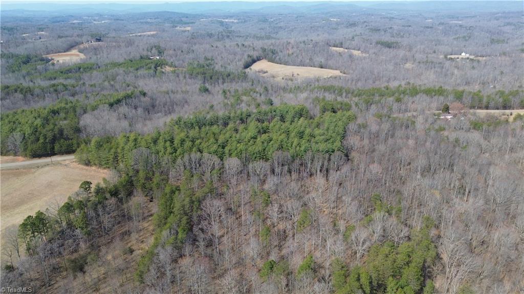 1284-1516 Tom Mix Road, Unit 95 93 / AC TRACT Westfield, NC 27053 - Photo 7 of 50