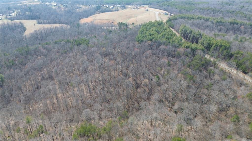 1284-1516 Tom Mix Road, Unit 95 93 / AC TRACT Westfield, NC 27053 - Photo 8 of 50