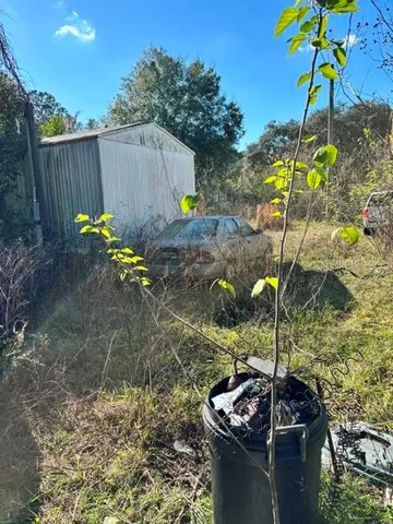 a view of a backyard