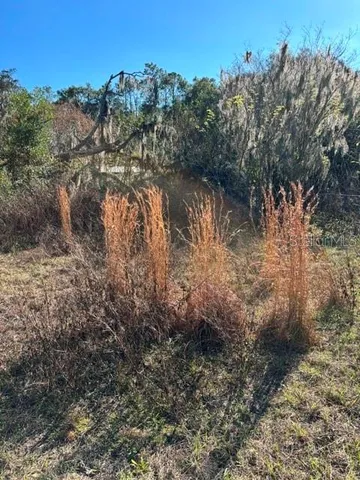 a view of lake with green space
