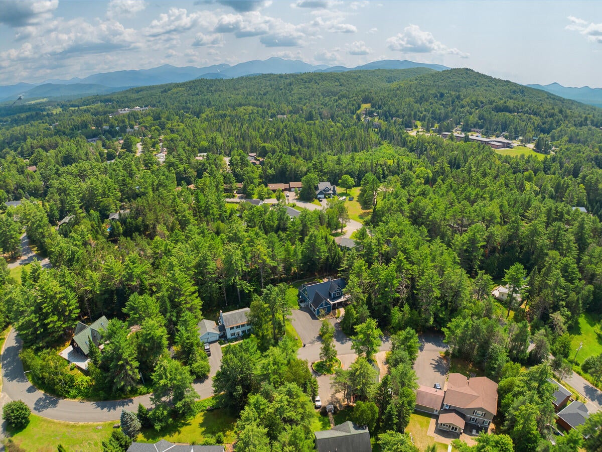 81 Blueberry Ridge Road Lake Placid, NY 12946 - Photo 50 of 59 Gallery Image 50