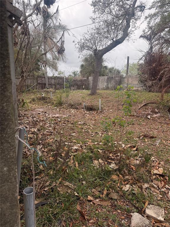 830 Berkshire Road Daytona Beach, FL 32117 - Photo 4 of 9 a backyard of a house with lots of green space