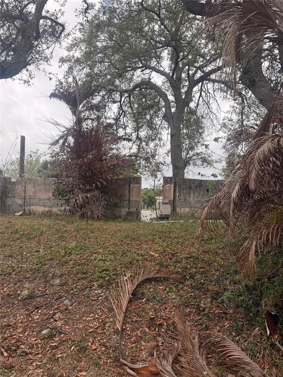 830 Berkshire Road Daytona Beach, FL 32117 - Photo 6 of 9 a view of a yard with plants and trees