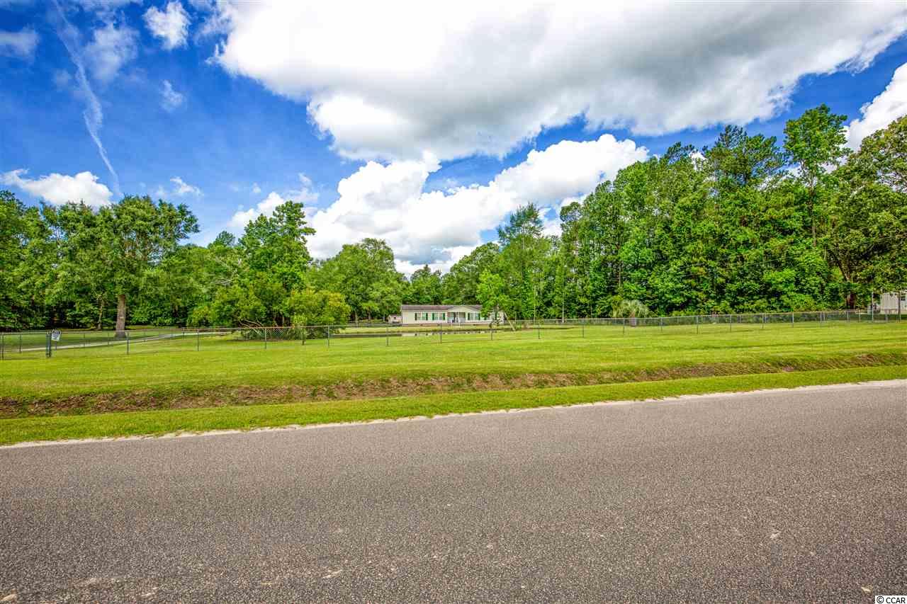 331 Oak Log Lake Road Conway, SC 29526 - Photo 6 of 33 Gallery Image 6