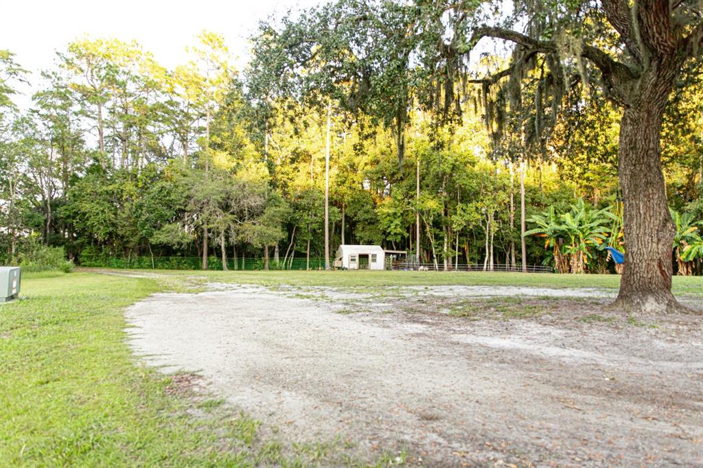 1533 County Road 13 Bunnell, FL 32110 - Photo 47 of 49 a view of a field with trees in the background