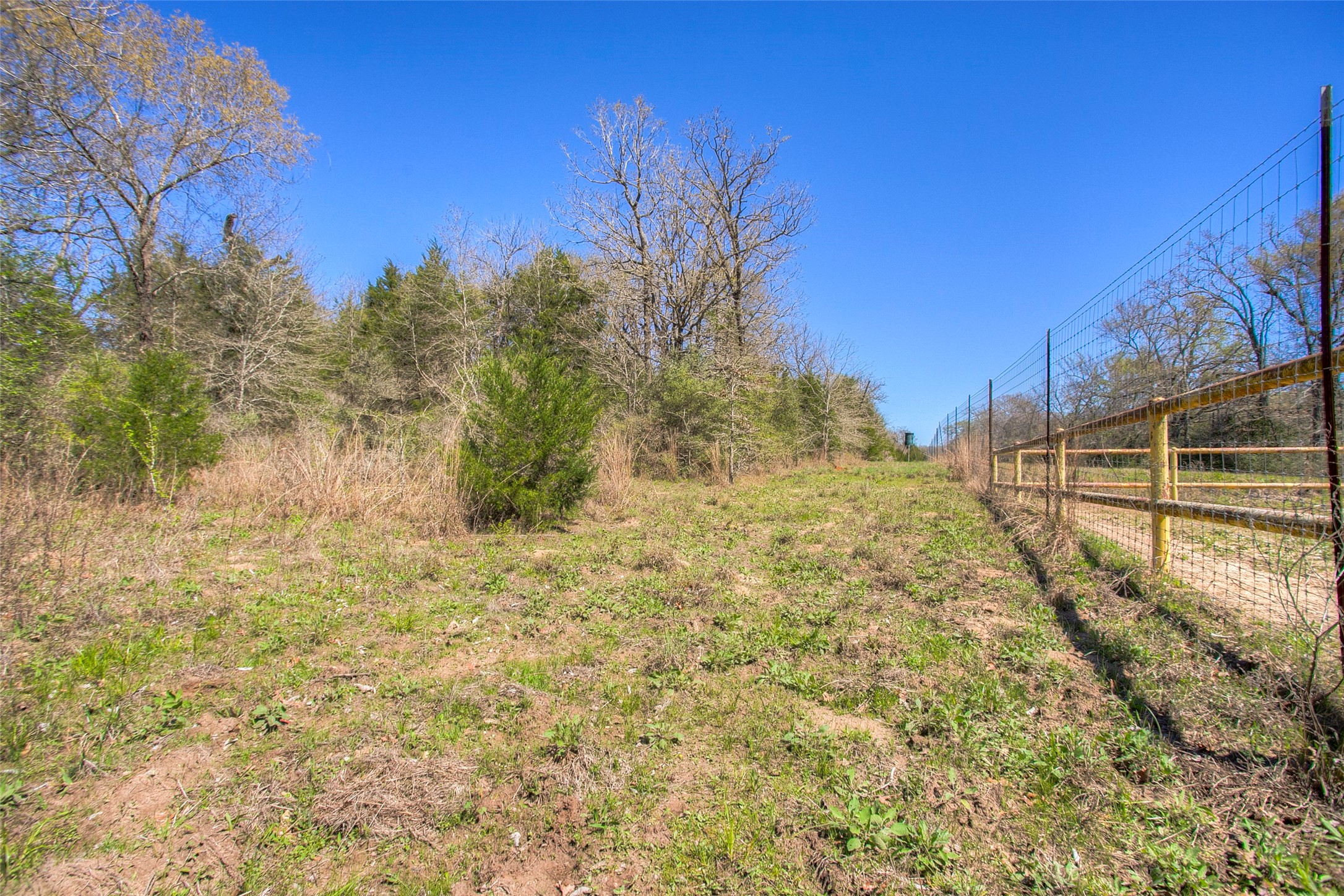 482 County Road 482 Normangee, TX 77871 - Photo 26 of 49