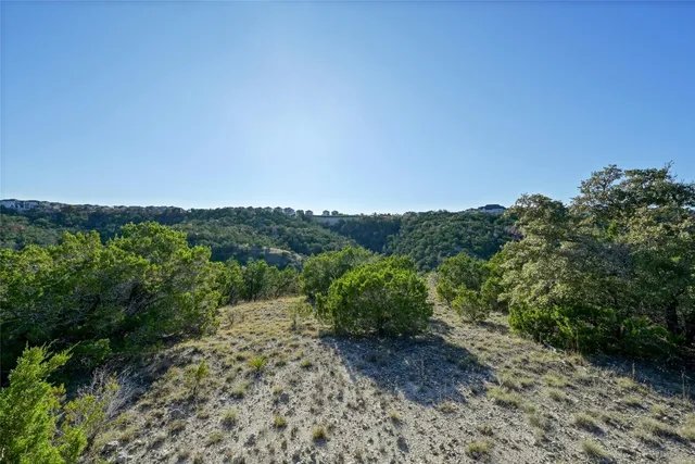 a view of a forest with trees in the background