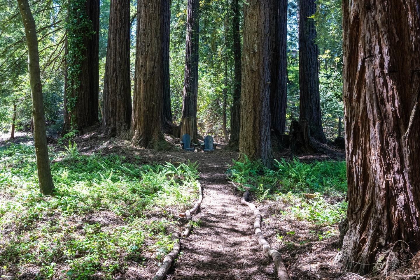 22540 Echo Drive Los Gatos, CA 95033 - Photo 34 of 41 a view of a backyard with potted plants and large trees