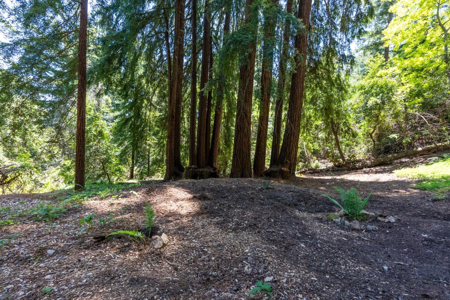 22540 Echo Drive Los Gatos, CA 95033 - Photo 36 of 41 a view of outdoor space and tree