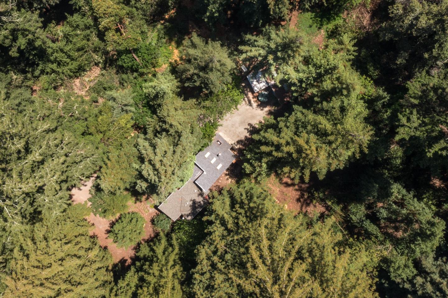 22540 Echo Drive Los Gatos, CA 95033 - Photo 37 of 41 a view of a forest with a tree