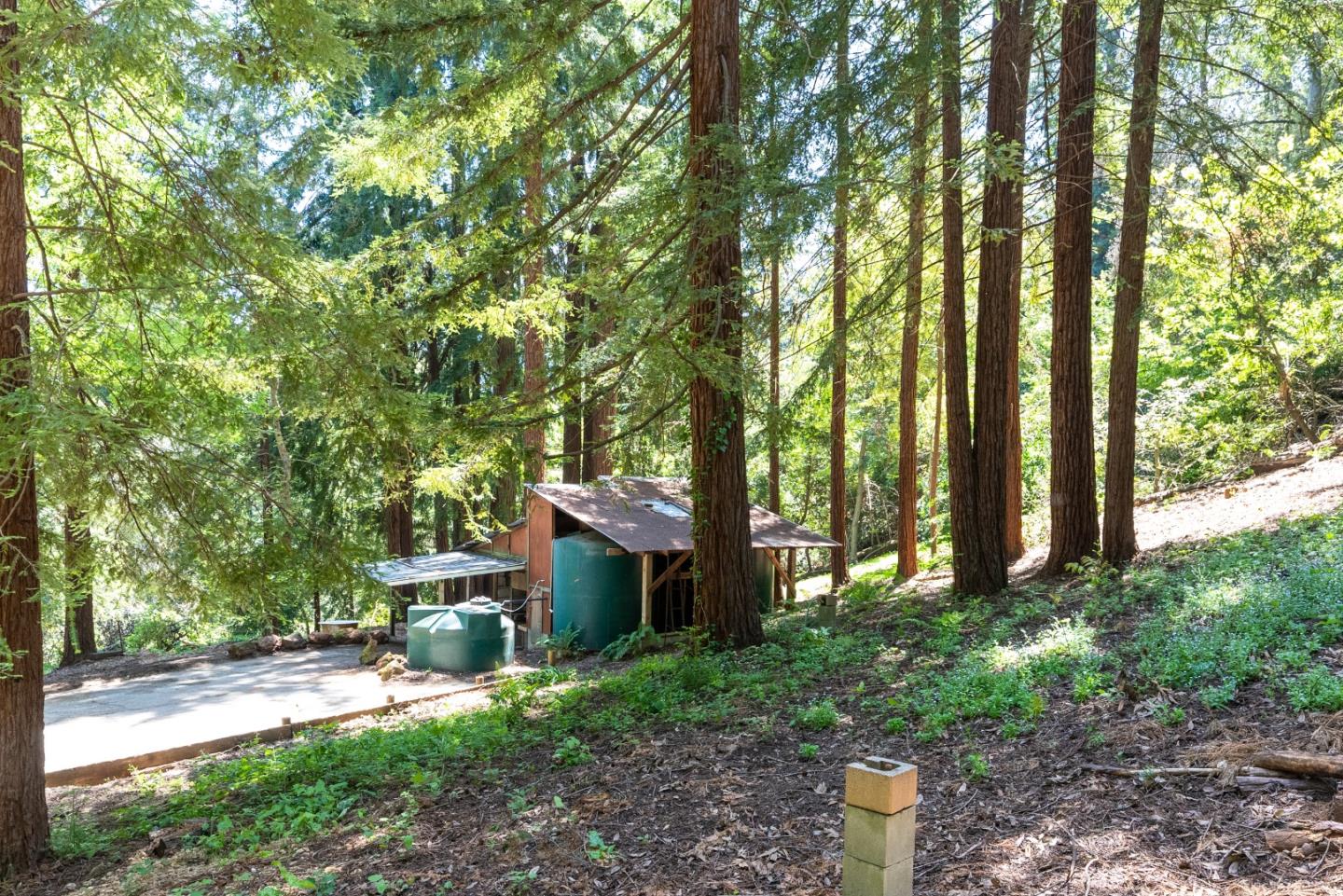 22540 Echo Drive Los Gatos, CA 95033 - Photo 38 of 41 a backyard of a house with lots of green space