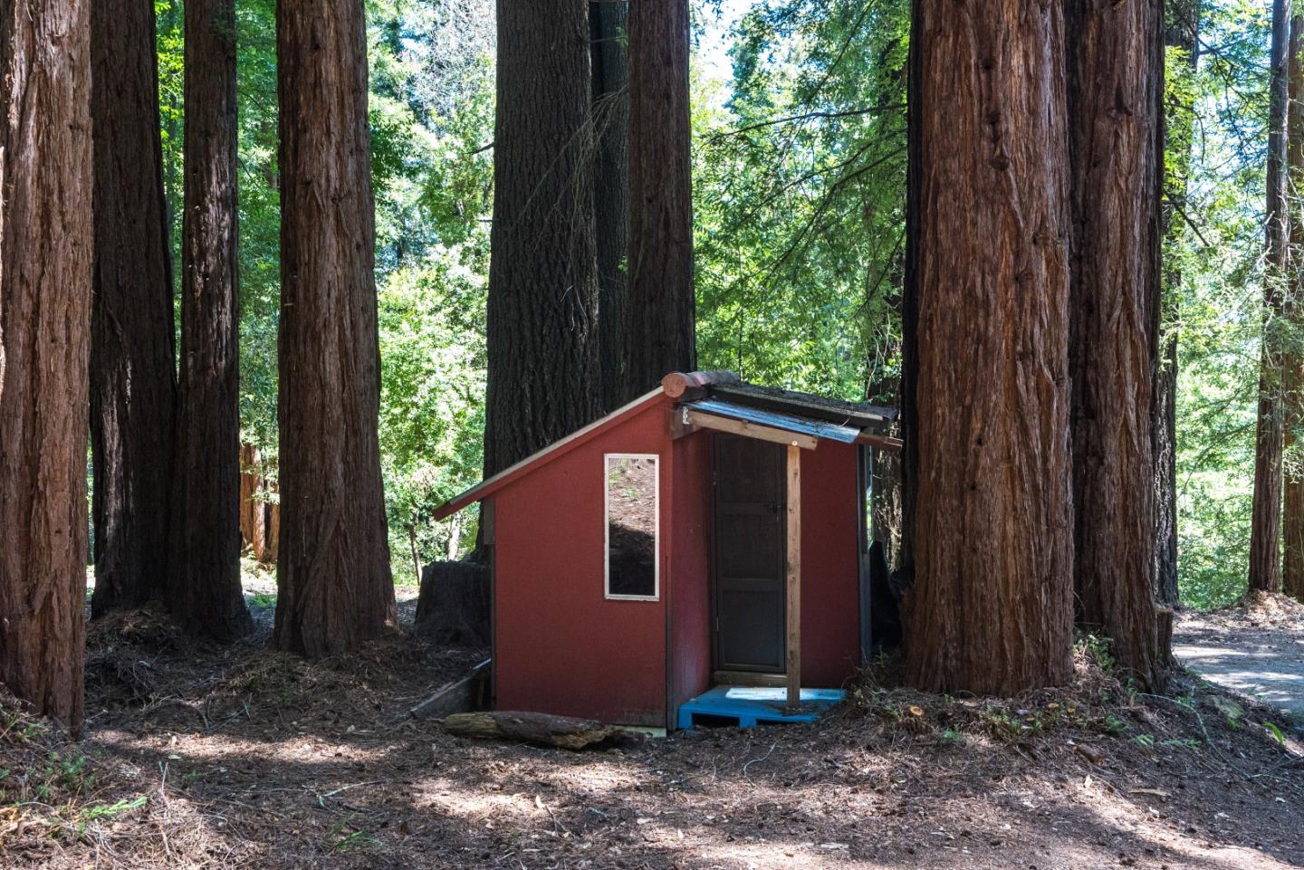 22540 Echo Drive Los Gatos, CA 95033 - Photo 39 of 41 a backyard of a house with a large tree