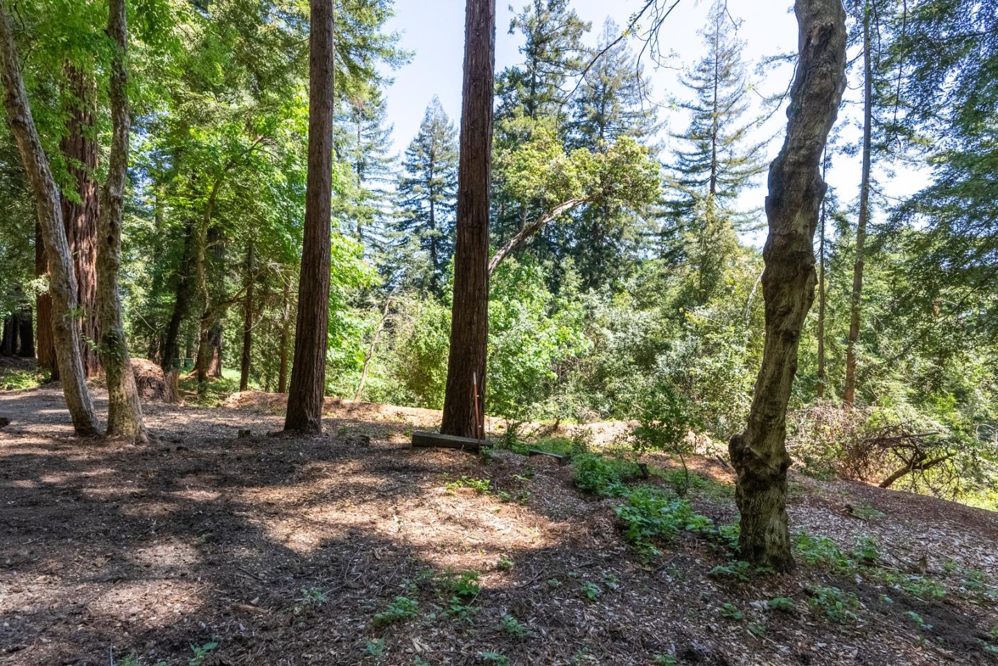 22540 Echo Drive Los Gatos, CA 95033 - Photo 40 of 41 a view of a forest with trees in the background