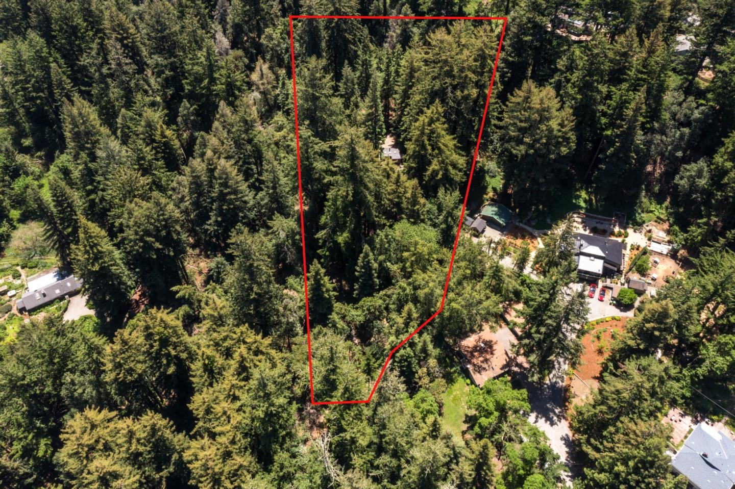 22540 Echo Drive Los Gatos, CA 95033 - Photo 41 of 41 a view of a tree