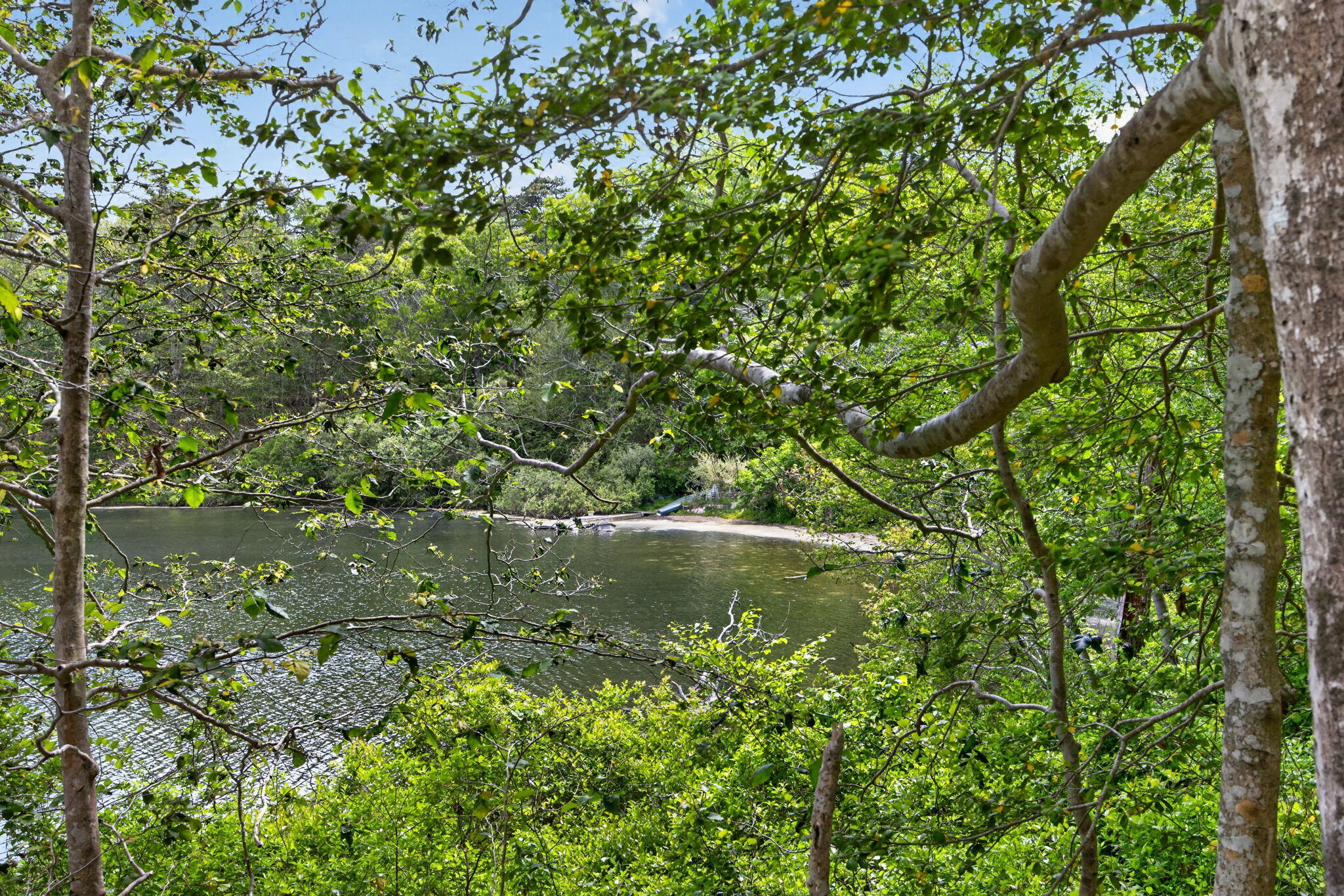 20 Hirsch Road Forestdale, MA 02644 - Photo 14 of 27 20-PF0A2469