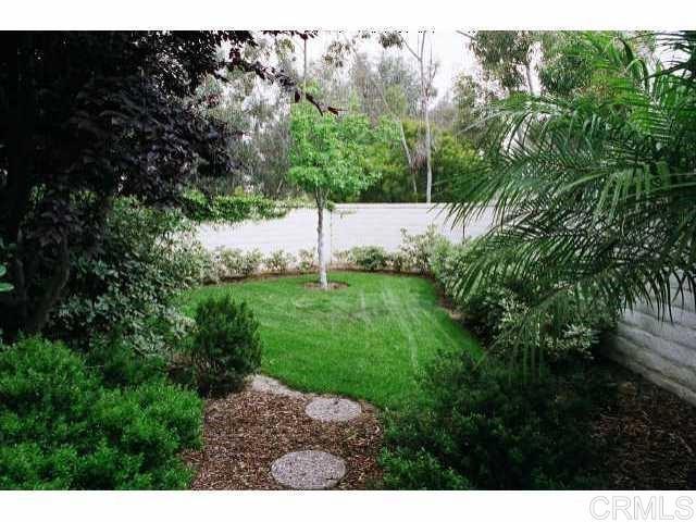 442 Carmel Creeper Place Encinitas, CA 92024 - Photo 6 of 12 a view of a back yard