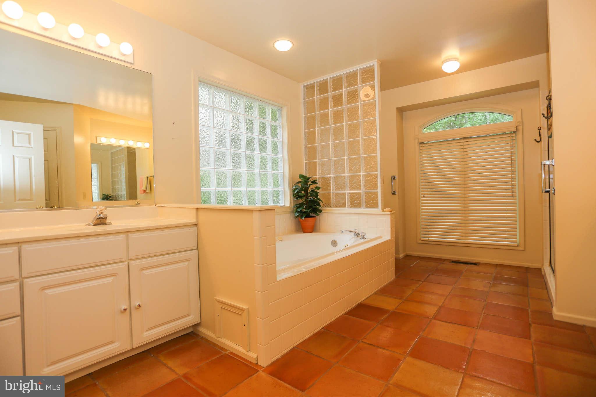 120 Skyline Road Locust Grove, VA 22508 - Photo 14 of 25 Bath (Master)
